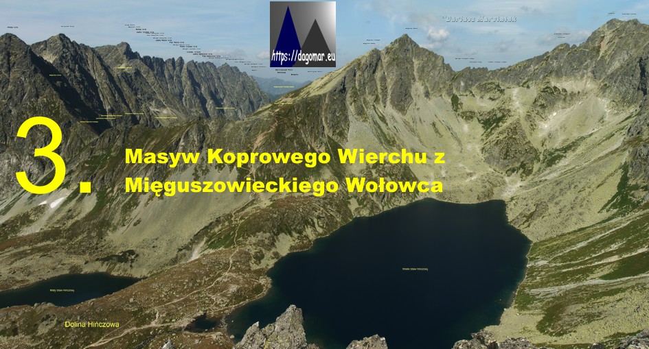 Koprowy Wierch z Wołowca